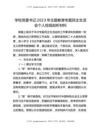 学校党委书记2023年主题教育专题民主生活会个人检视剖析材料