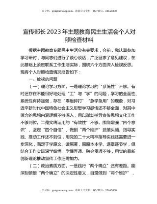 宣传部长2023年主题教育民主生活会个人对照检查材料