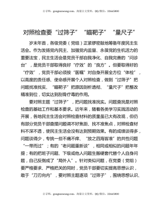 对照检查要“过筛子”“瞄靶子”“量尺子”