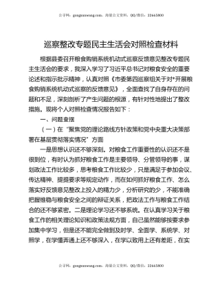 巡察整改专题民主生活会对照检查材料