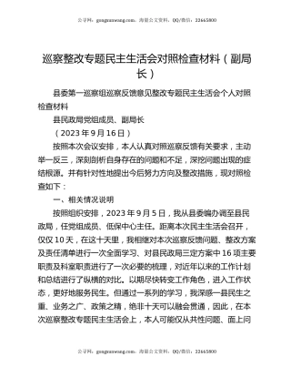 巡察整改专题民主生活会对照检查材料（副局长）