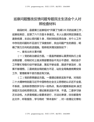 巡察问题整改反馈问题专题民主生活会个人对照检查材料