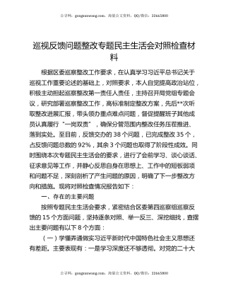 巡视反馈问题整改专题民主生活会对照检查材料