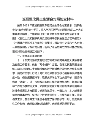 巡视整改民主生活会对照检查材料