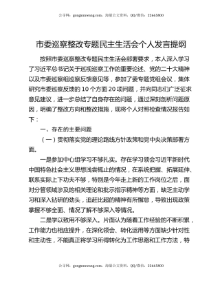市委巡察整改专题民主生活会个人发言提纲