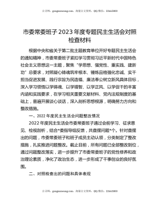 市委常委班子2023年度专题民主生活会对照检查材料