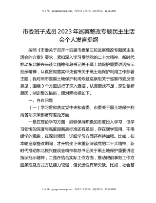 市委班子成员2023年巡察整改专题民主生活会个人发言提纲
