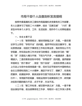 市局干部个人自查剖析发言提纲