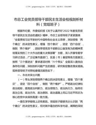 市总工会党员领导干部民主生活会检视剖析材料（党组班子）
