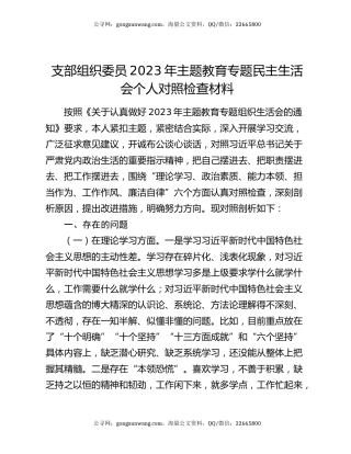 支部组织委员2023年主题教育专题民主生活会个人对照检查材料