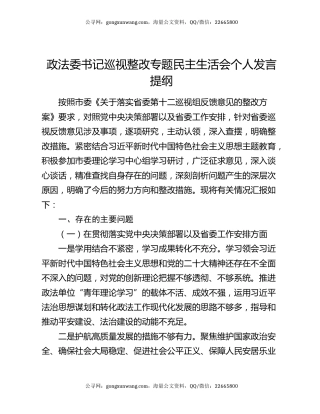 政法委书记巡视整改专题民主生活会个人发言提纲