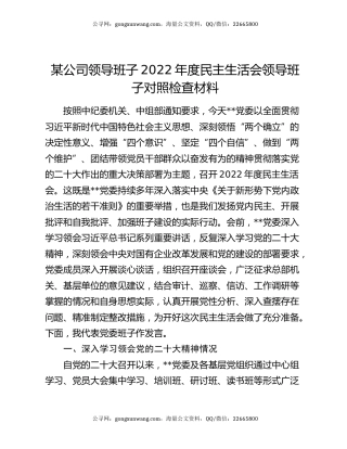 某公司领导班子2022年度民主生活会领导班子对照检查材料
