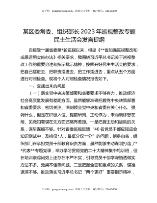 某区委常委、组织部长2023年巡视整改专题民主生活会发言提纲