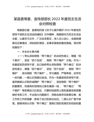 某县委常委、宣传部部长2022年度民主生活会对照检查