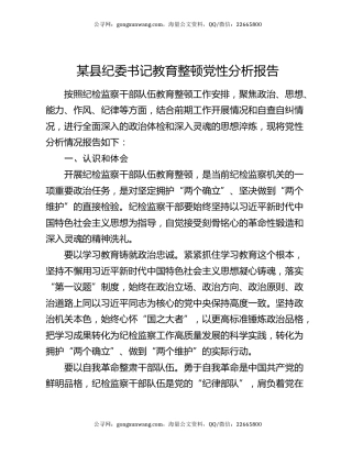 某县纪委书记教育整顿党性分析报告