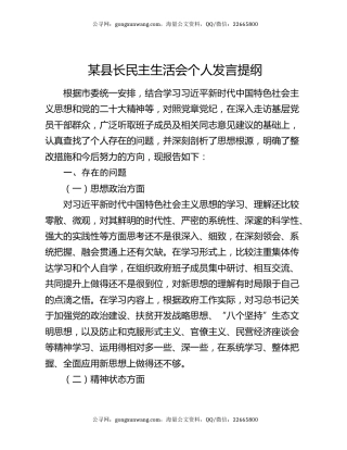 某县长民主生活会个人发言提纲