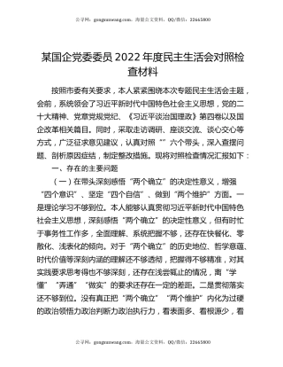 某国企党委委员2022年度民主生活会对照检查材料