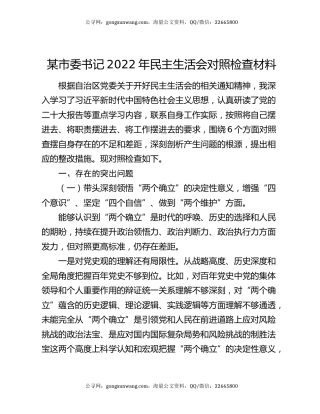 某市委书记2022年民主生活会对照检查材料