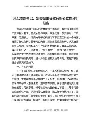 某纪委副书记、监委副主任教育整顿党性分析报告