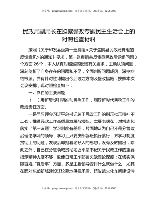 民政局副局长在巡察整改专题民主生活会上的对照检查材料
