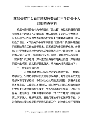 环保督察回头看问题整改专题民主生活会个人对照检查材料