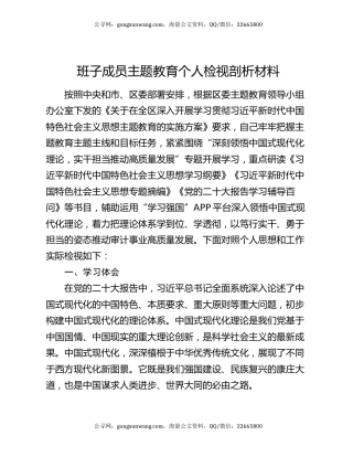 班子成员主题教育个人检视剖析材料