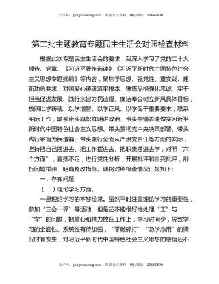 第二批主题教育专题民主生活会对照检查材料