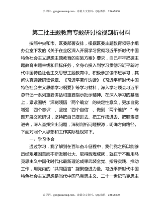 第二批主题教育专题研讨检视剖析材料