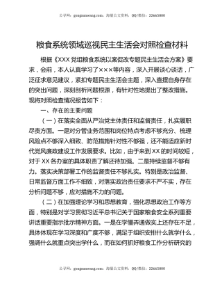 粮食系统领域巡视民主生活会对照检查材料