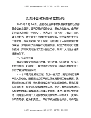 纪检干部教育整顿党性分析