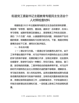 街道党工委副书记主题教育专题民主生活会个人对照检查材料