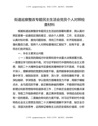 街道巡察整改专题民主生活会党员个人对照检查材料
