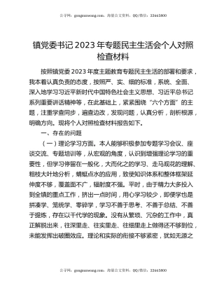 镇党委书记2023年专题民主生活会个人对照检查材料