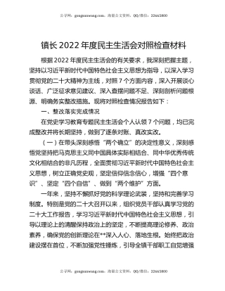 镇长2022年度民主生活会对照检查材料
