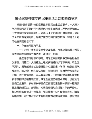 镇长巡察整改专题民主生活会对照检查材料