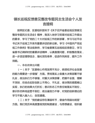 镇长巡视反馈意见整改专题民主生活会个人发言提纲