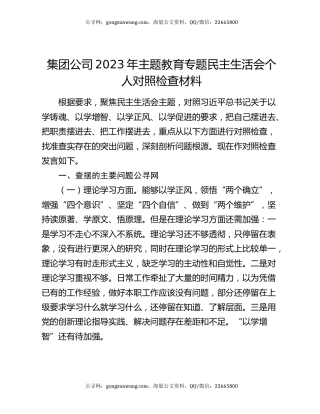 集团公司2023年主题教育专题民主生活会个人对照检查材料