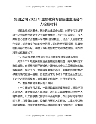 集团公司2023年主题教育专题民主生活会个人检视材料