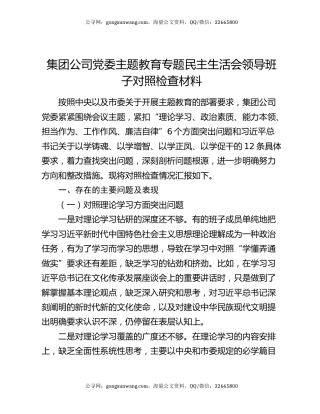 集团公司党委主题教育专题民主生活会领导班子对照检查材料