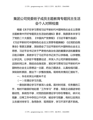 集团公司党委班子成员主题教育专题民主生活会个人对照检查