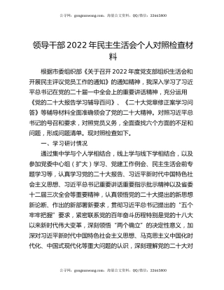 领导干部2022年民主生活会个人对照检查材料