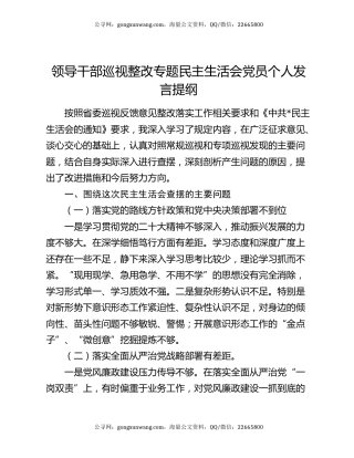 领导干部巡视整改专题民主生活会党员个人发言提纲