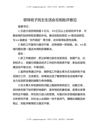 领导班子民主生活会互相批评意见