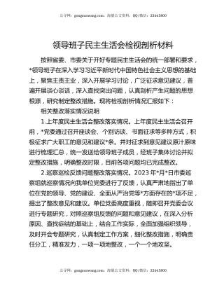 领导班子民主生活会检视剖析材料