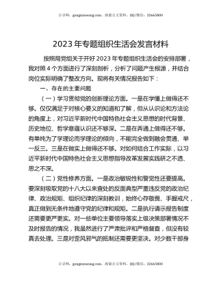 2023年专题组织生活会发言材料