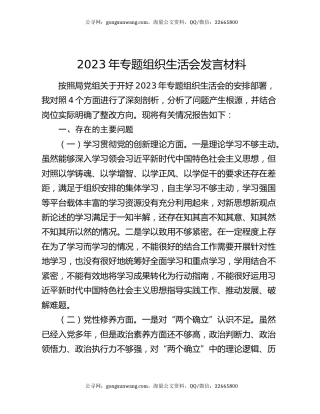 2023年专题组织生活会发言材料（2）