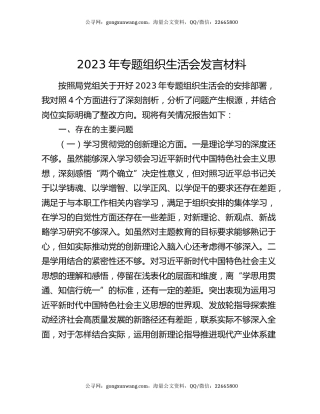 2023年专题组织生活会发言材料（3）
