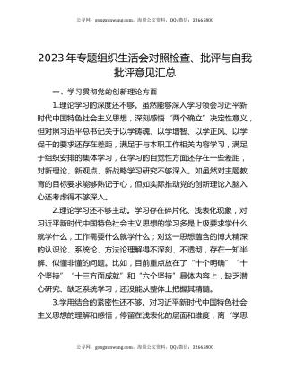 2023年专题组织生活会对照检查、批评与自我批评意见汇总