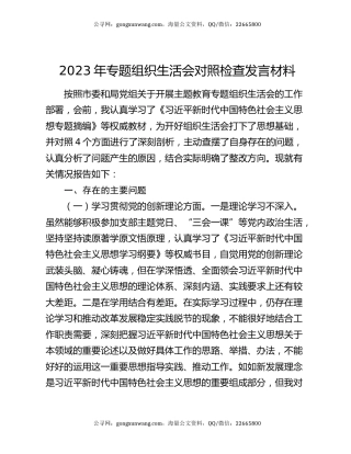2023年专题组织生活会对照检查发言材料