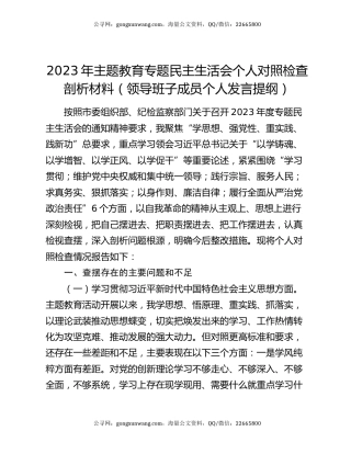 2023年主题教育专题民主生活会个人对照检查剖析材料（领导班子成员个人发言提纲）